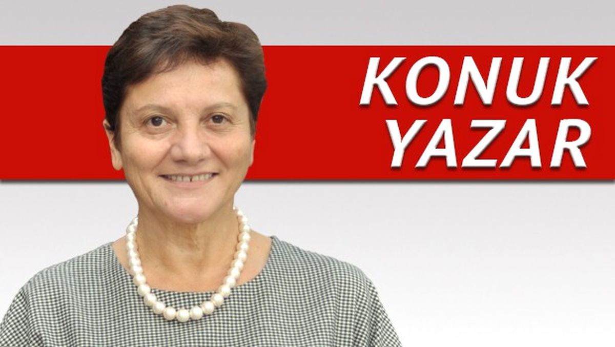 Teog Sonuçları Açıklandı, Sırada Ne Var?