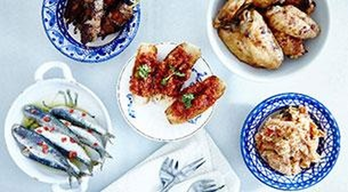 Msa - Bbq Partisi