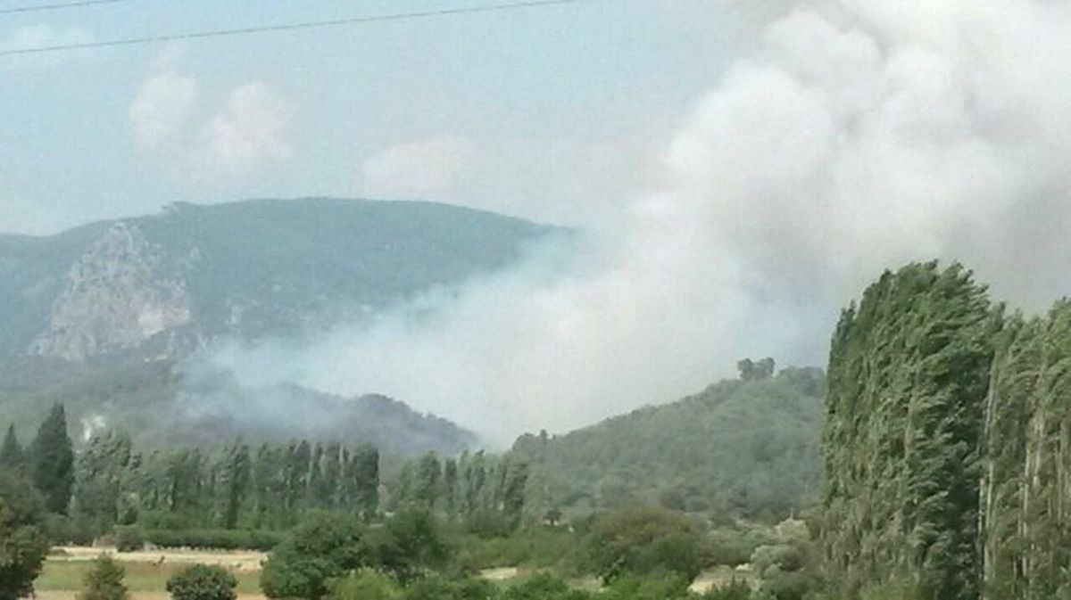 Muğla\'da Orman Yangını
