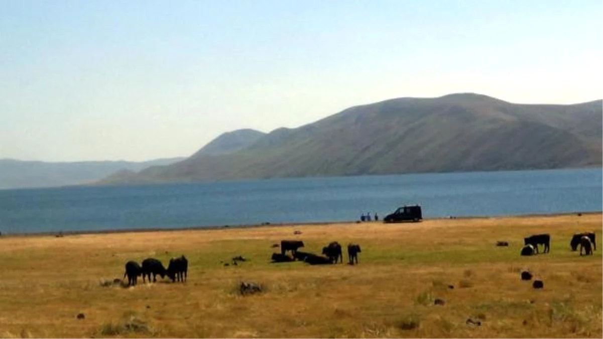 Taşlıçay ile Tuzluca Arasındaki Balıklı Göl\'de Hedef Eko Turizm