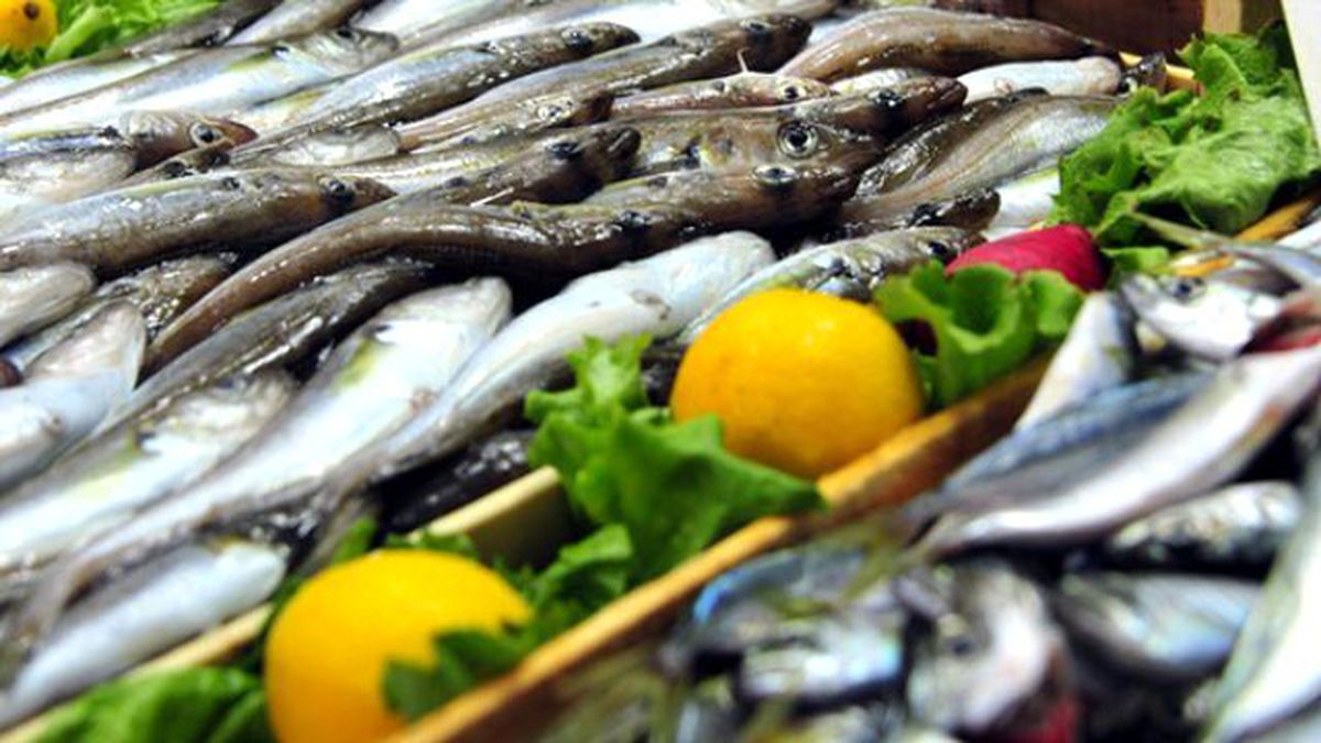 Tekirdağ\'da Balık Fiyatları
