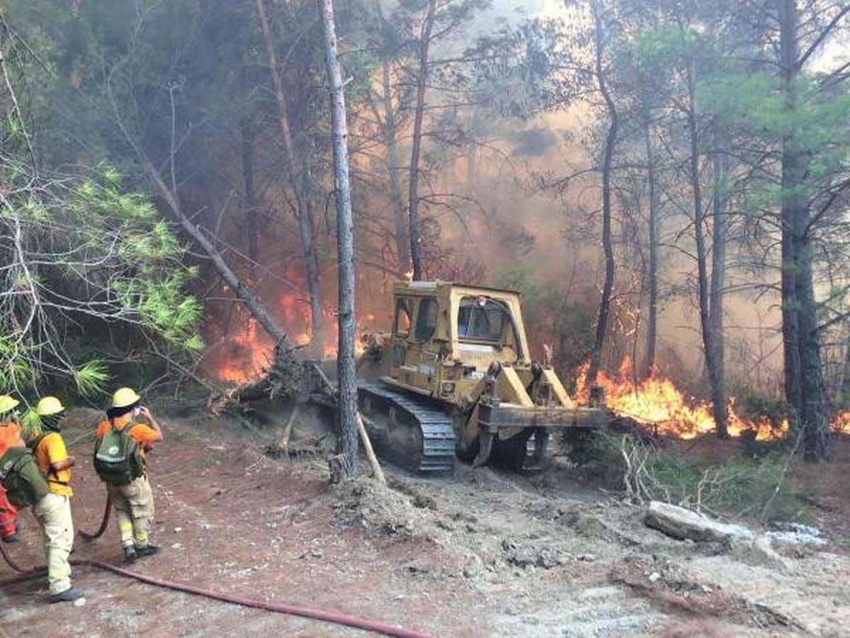 Ula\'da Orman Yangını 8 Saatte Söndürüldü