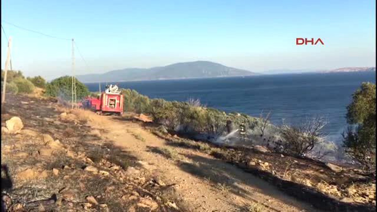Balıkesir - Marmara Adası\'nda Çıkan Yangında 20 Zeytin Ağacı Yandı