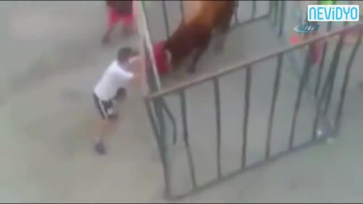 İspanya\'da Çitin İçindeki Adam Boğayı Kızdırmanın Bedelini Ağır Ödedi