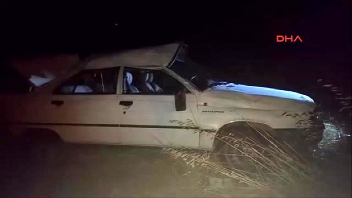Çanakkale Sürü Kurtuldu, Çoban Öldü