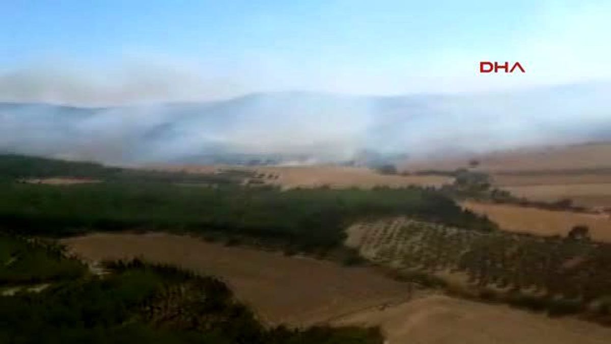 Gelibolu'da Korkutan Yangın Söndürüldü