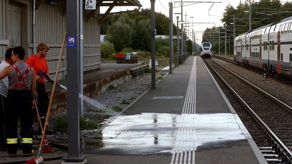 İsviçre'de Tren YolcuIarına Bıçaklı Saldırı: 7 Yaralı