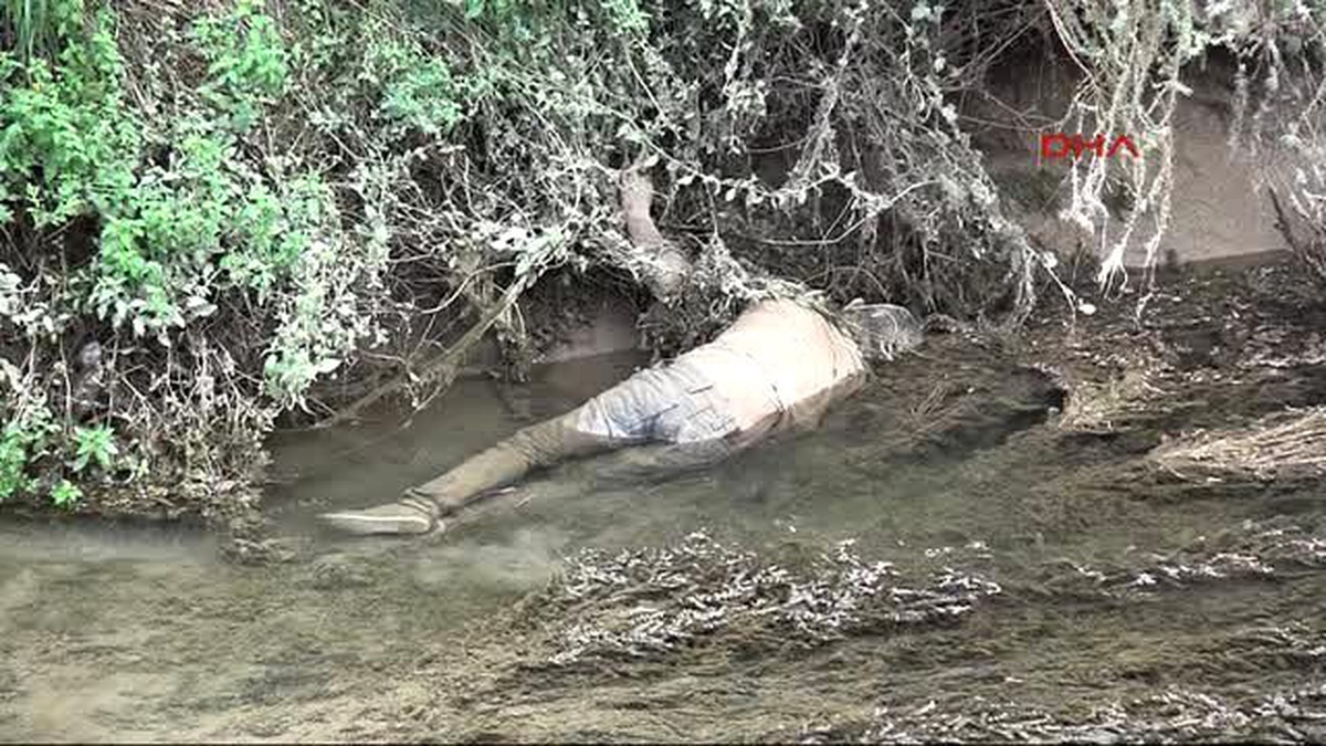 Manavgat\'ta Sulama Kanalında Çürümüş Erkek Cesedi Bulundu