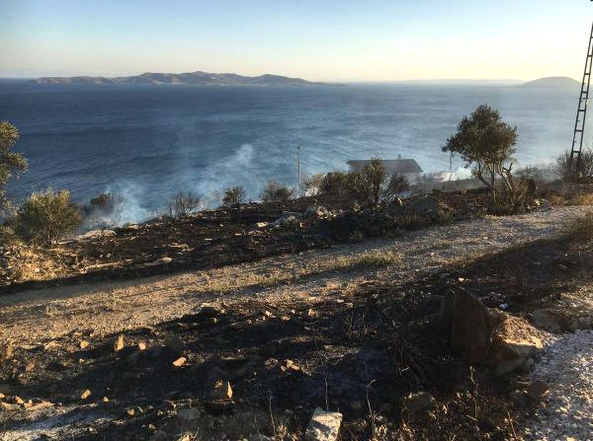 Marmara Adası\'nda Çıkan Yangında 20 Zeytin Ağacı Yandı