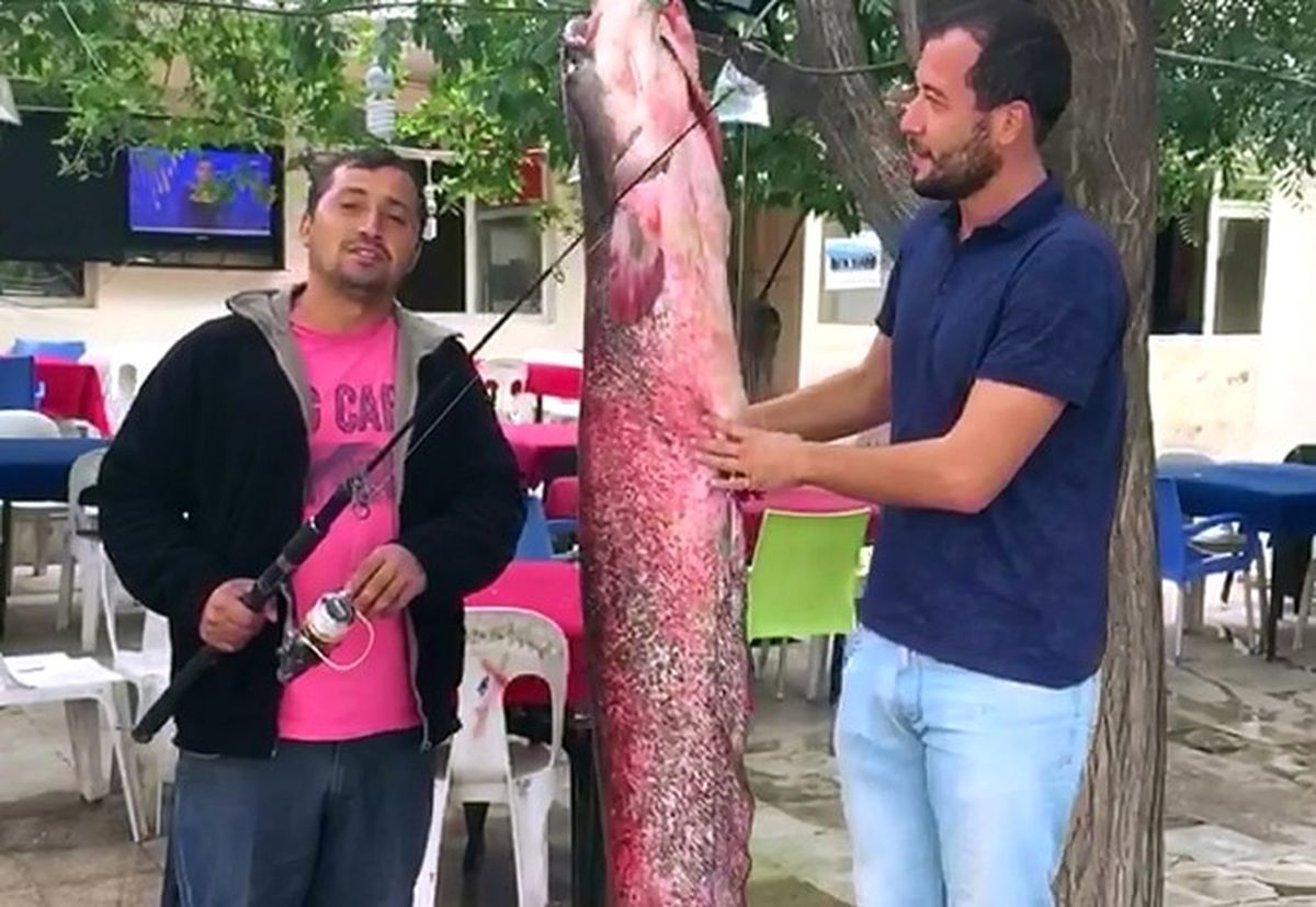 2 Metre Boyunda Dev Yayını Olta ile Yakaladılar
