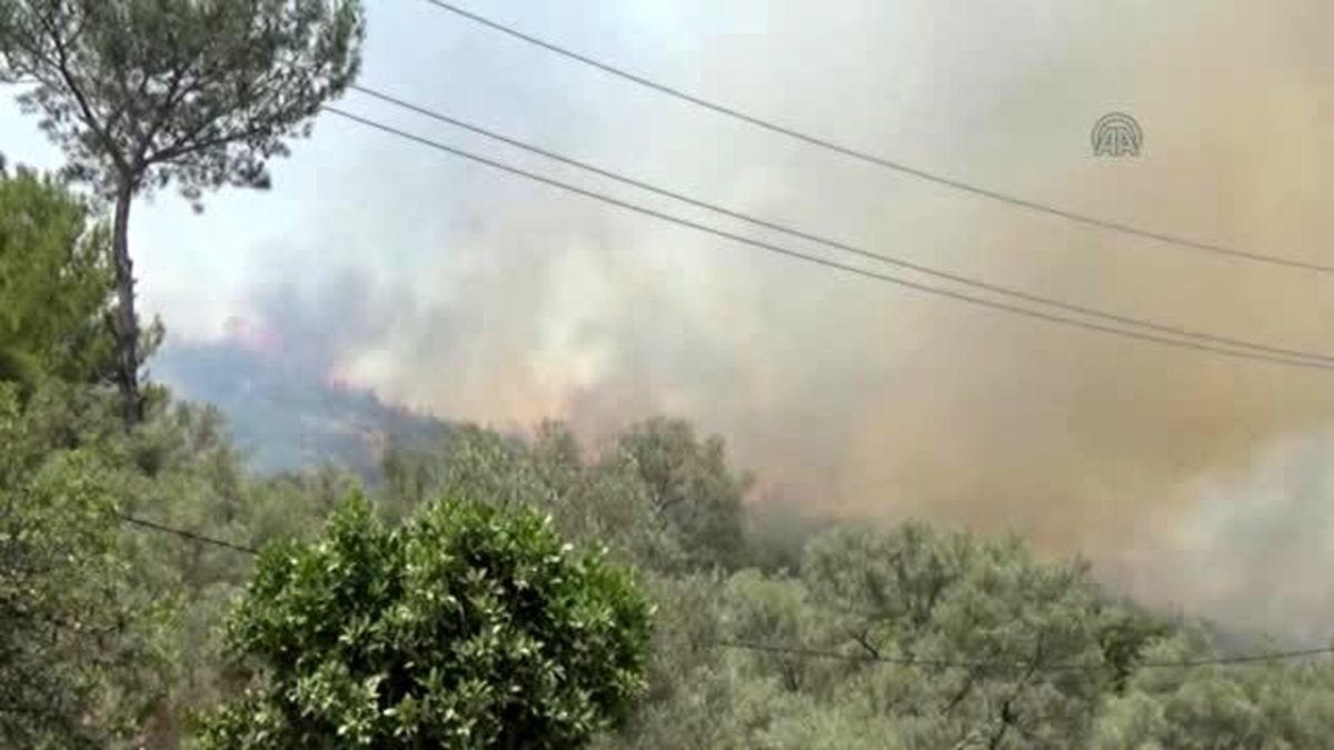 Muğla\'da Orman Yangını