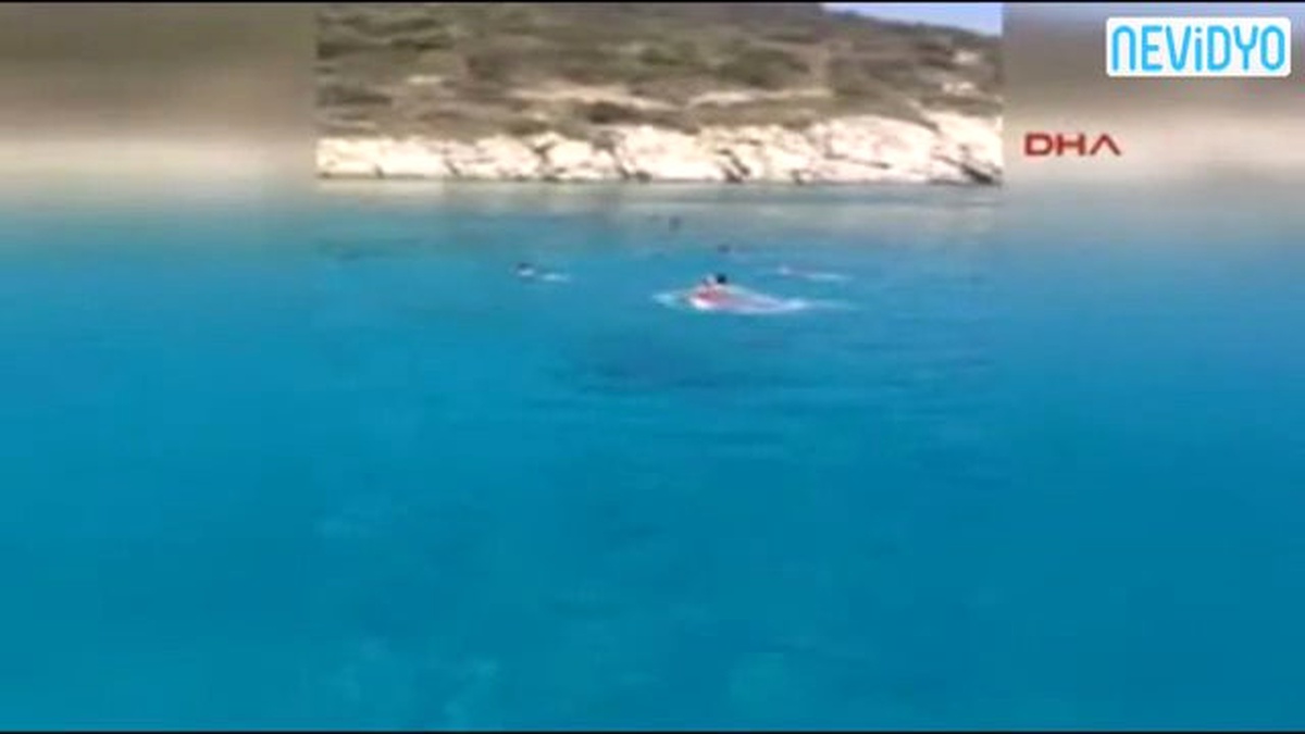 Caretta Carettalar Böyle Saldırdı