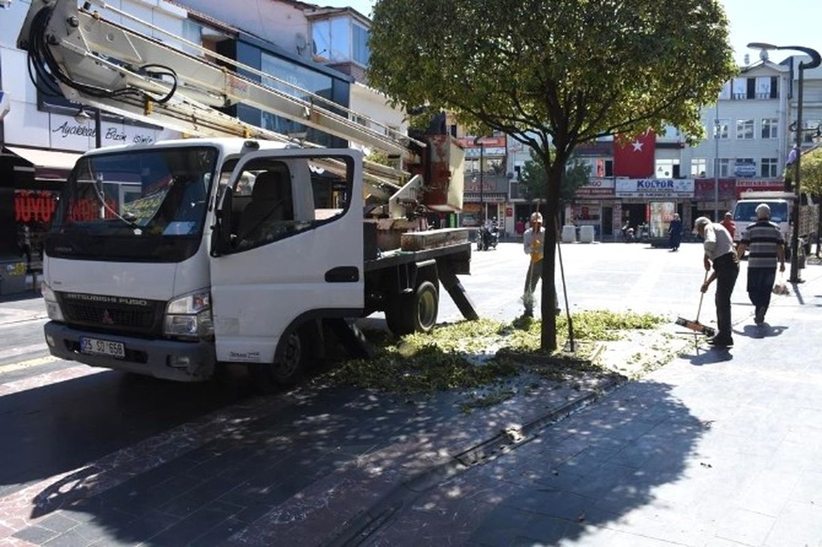 Düzce\'de Ağaçlara Peyzaj Bakımı Yapıldı