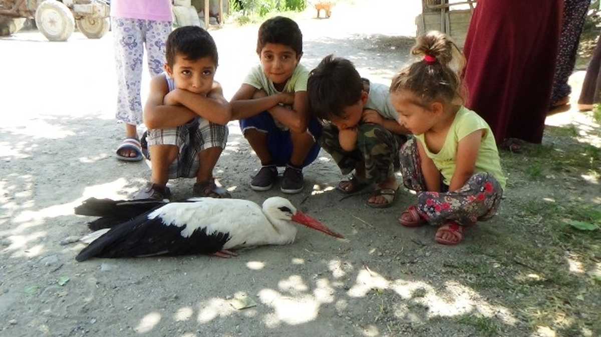 Kanadı Kırık Leyleğe Çocuklar Sahip Çıktı