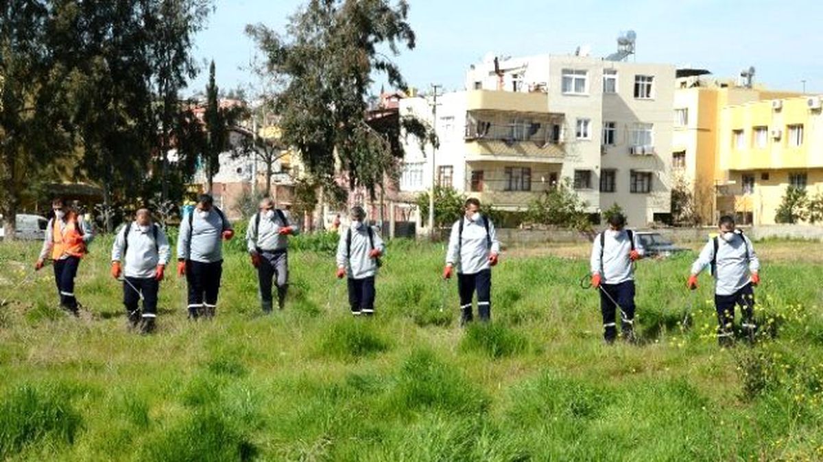 Malatya\'da Haşereyle Mücadele Çalışmaları