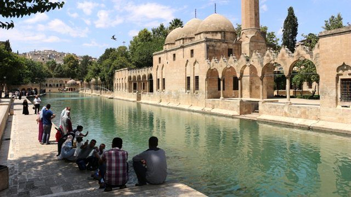 Ağaç Gölgesinde Balıklıgöl\'ü Seyrettiler