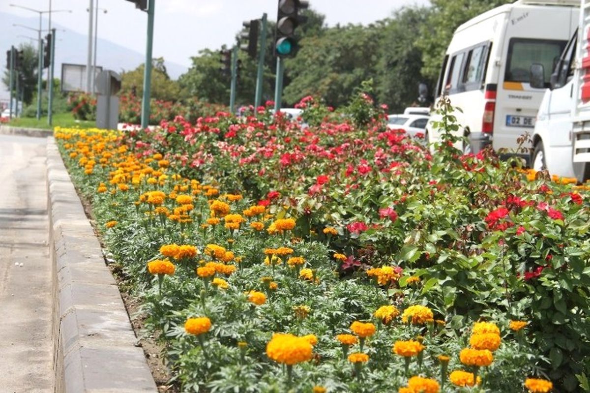 Binlerce Çiçek Toprakla Buluştu