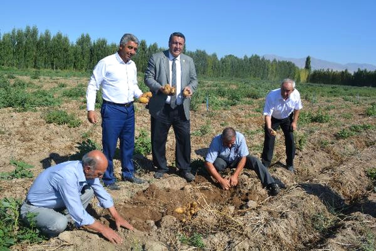 CHP\'li Gürer: Patatesin Yurt Dışına Satışı Teşvik Edilmeli