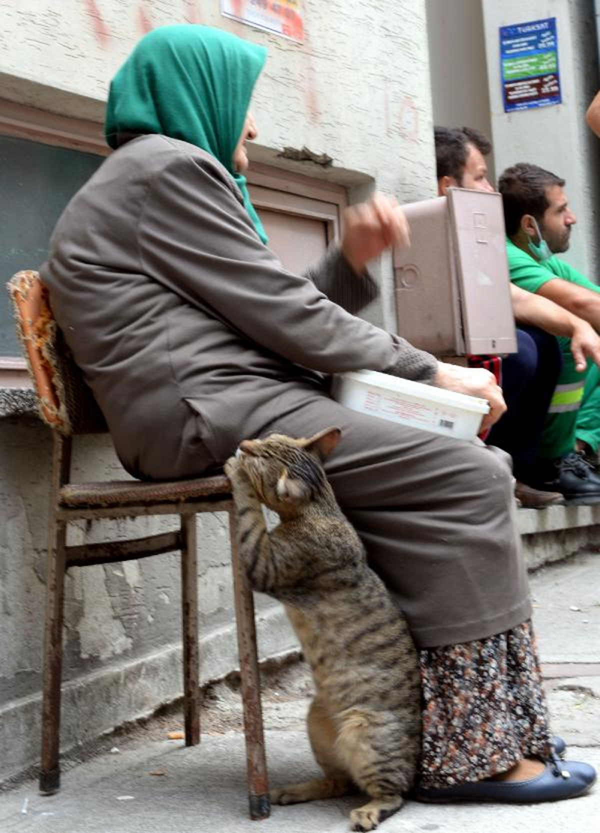 Çöplük Haline Dönen Evinin Temizlenmesini Kedisiyle İzledi