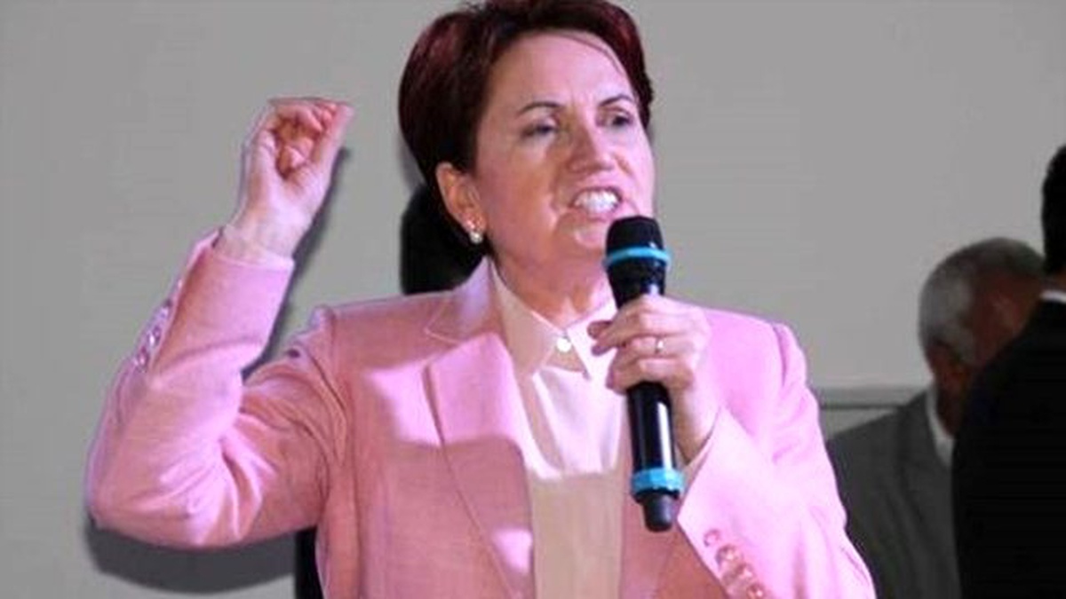 Meral Akşener\'den Disipline Sevk Edilmesine İlişkin Açıklama