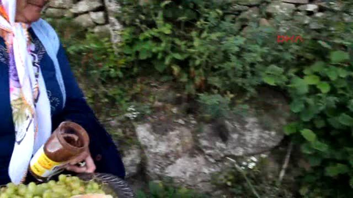 Ordu Valisi: Vatandaşlar ?bize Silah Verin Teröristlerin Peşlerine Düşelim? Diyor