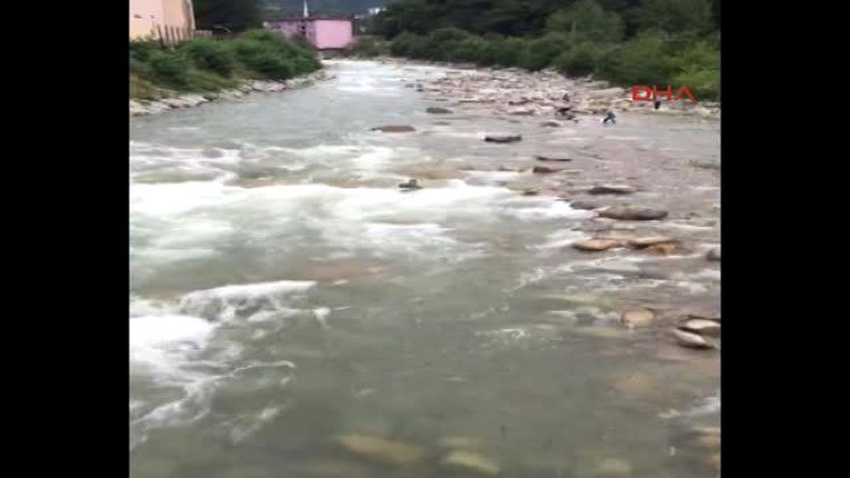 Rize - Dereye Düştü, Hayatını Kaybetti