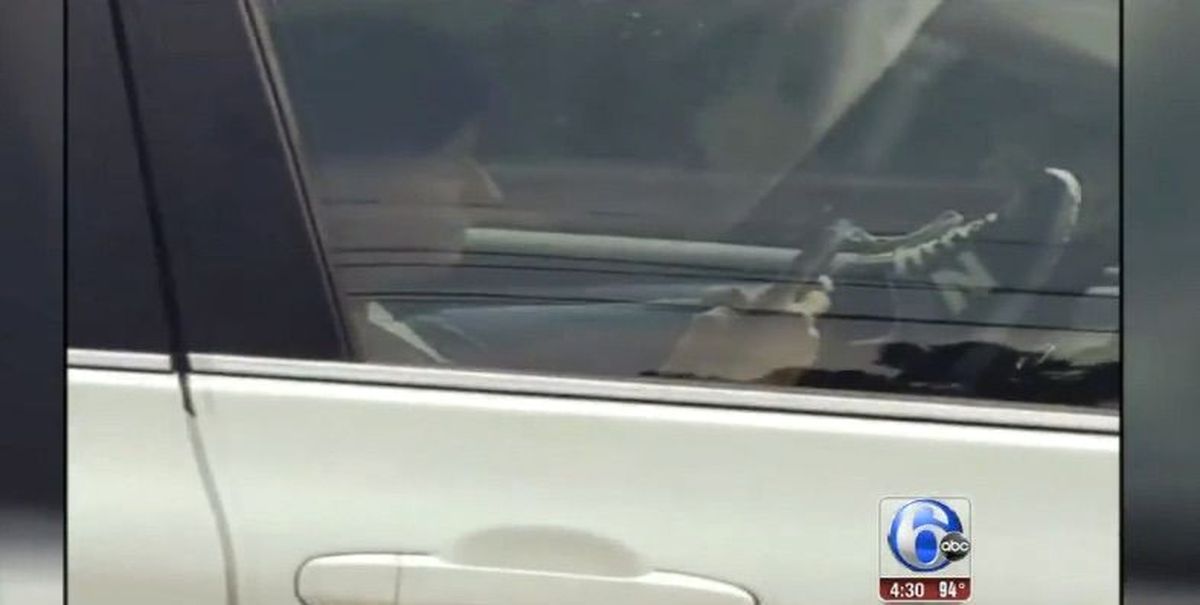 Yok Artık" Dedirten Trafik Canavarı!