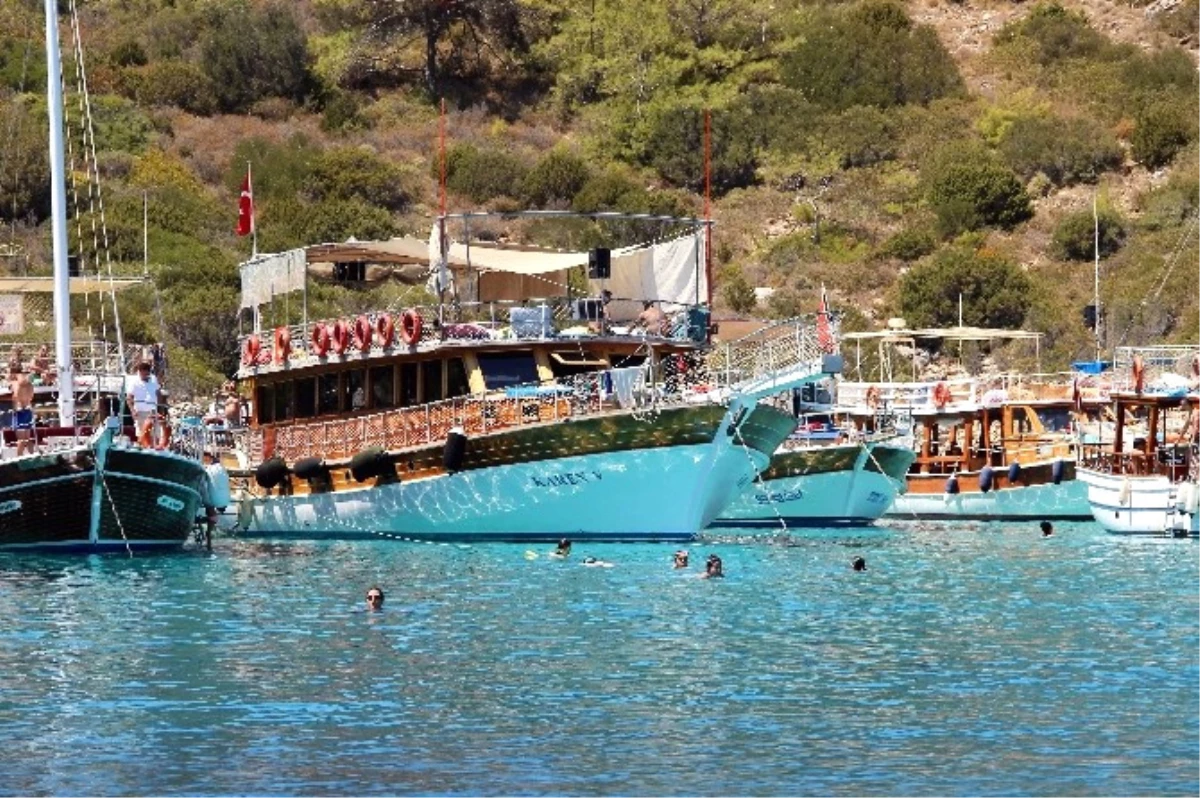 5 Kişiyi Yaralayan Caretta Carettayı Yakalamak İçin Seferber Oldular