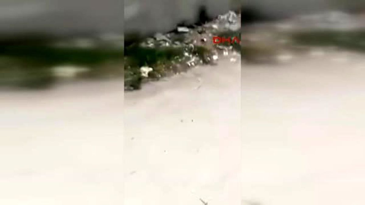 Adana'da Kadınların Çocuk Kavgasını Eşleri Önledi