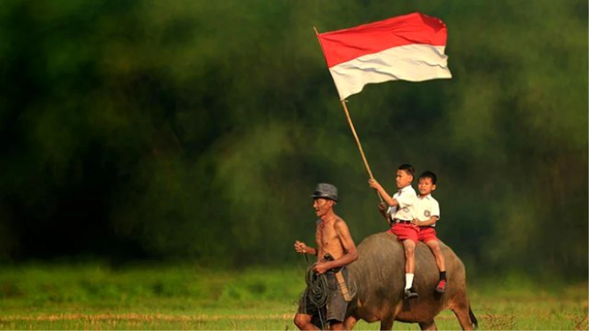 Analiz - Bağımsızlığının 71. Yılında Endonezya