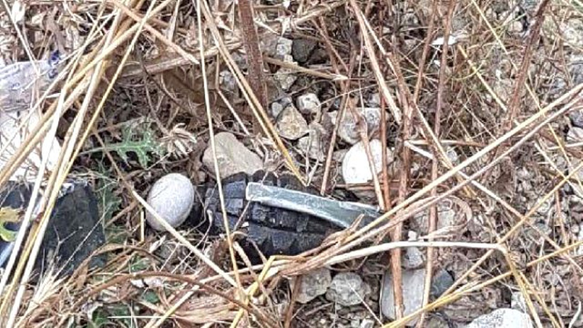 Kiraz Bahçesinde 4 El Bombası Bulundu