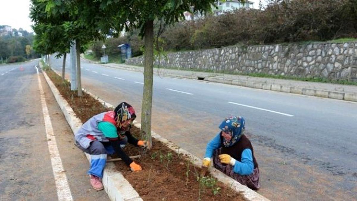 Akçakoca\'da Peyzaj Çalışmaları Kentin Birçok Noktasında Hissediliyor