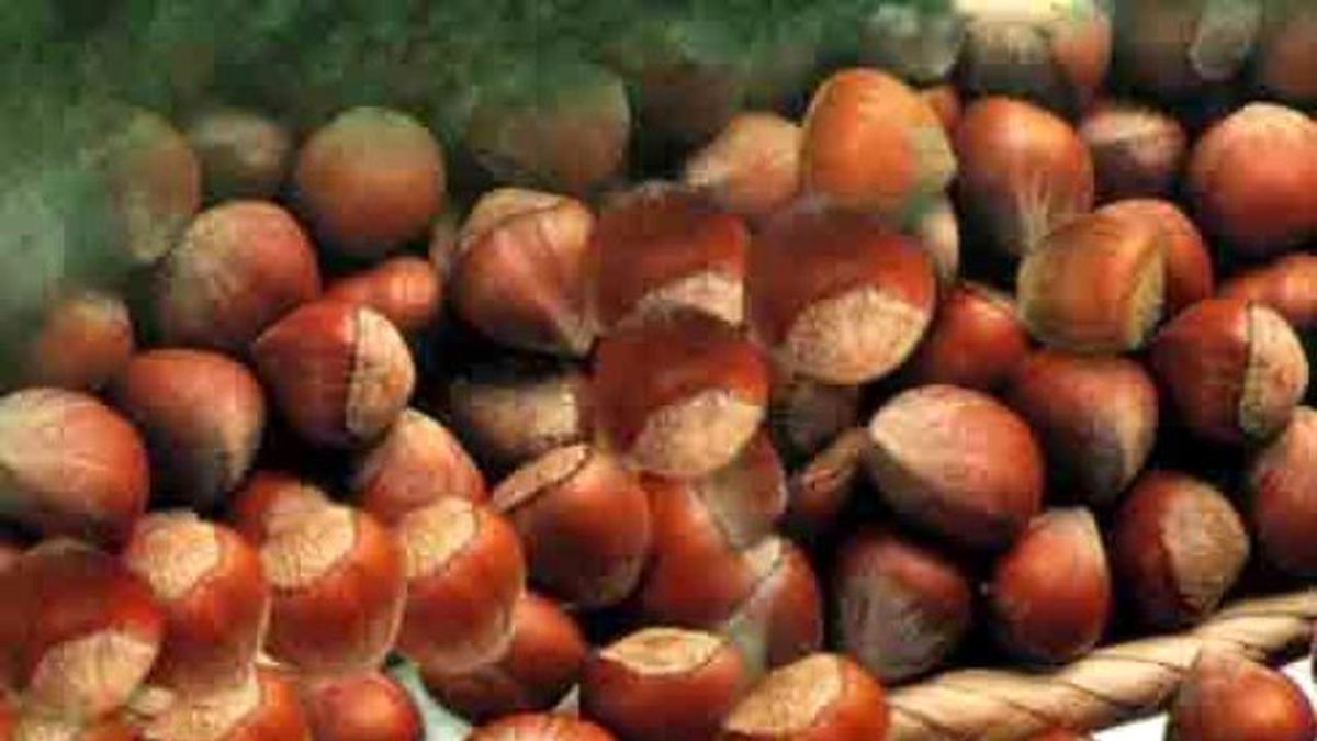 Giresun Ticaret Borsası Başkanı Yanıkoğlu Açıklaması