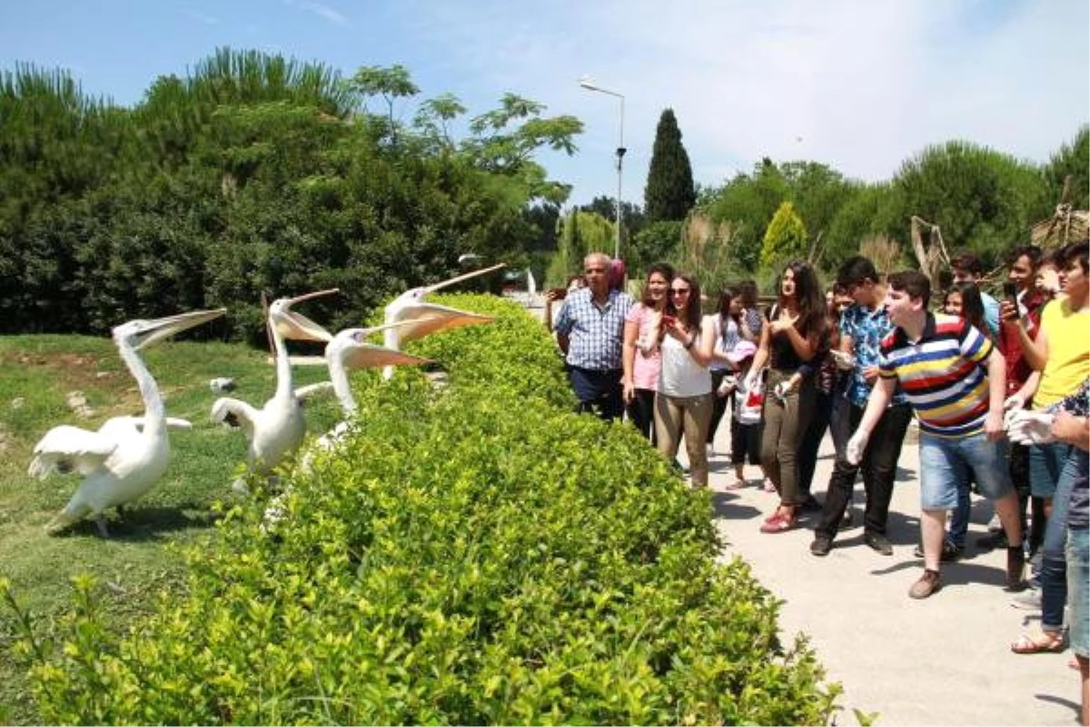 İzmir\'de Doğal Yaşam Parkı\'nı 8 Yılda 6.5 Milyon Kişi Gezdi