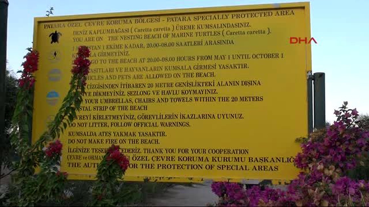 Kaş Patara Plajı\'nda Caretta Caretta Yavruları Akdeniz\'le Buluşuyor