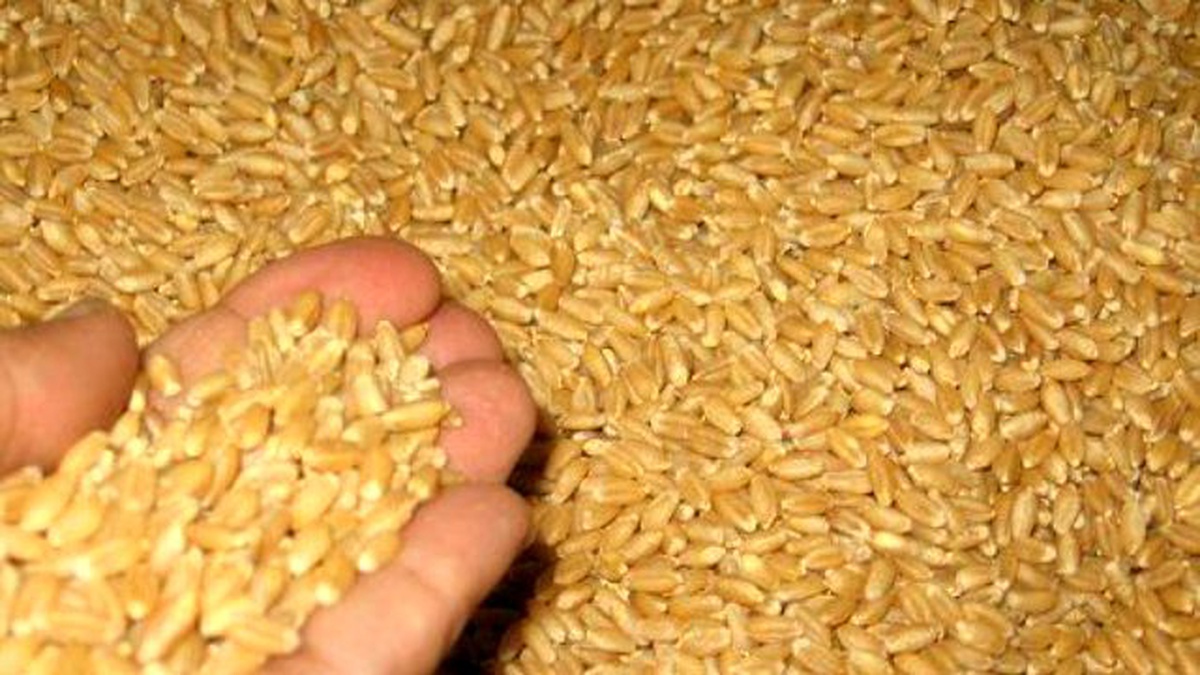 Kızıltepe Ticaret Borsası