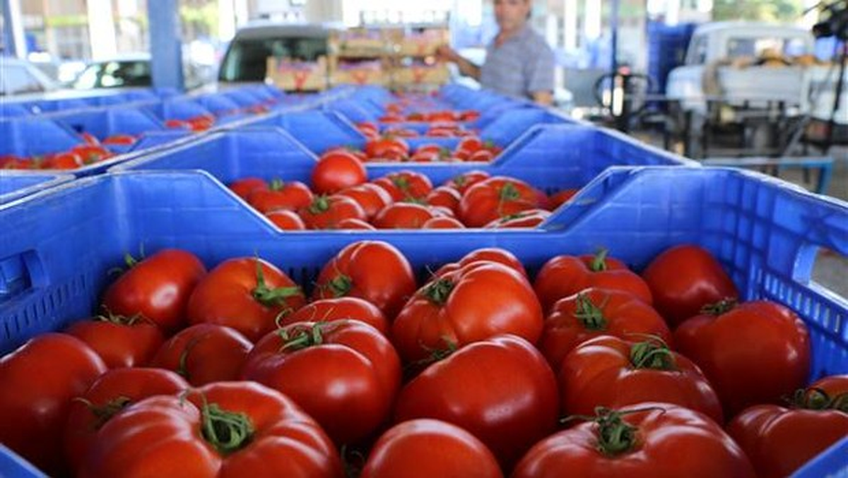 Ruslarda Flaş Türkiye Yasağı Açıklaması