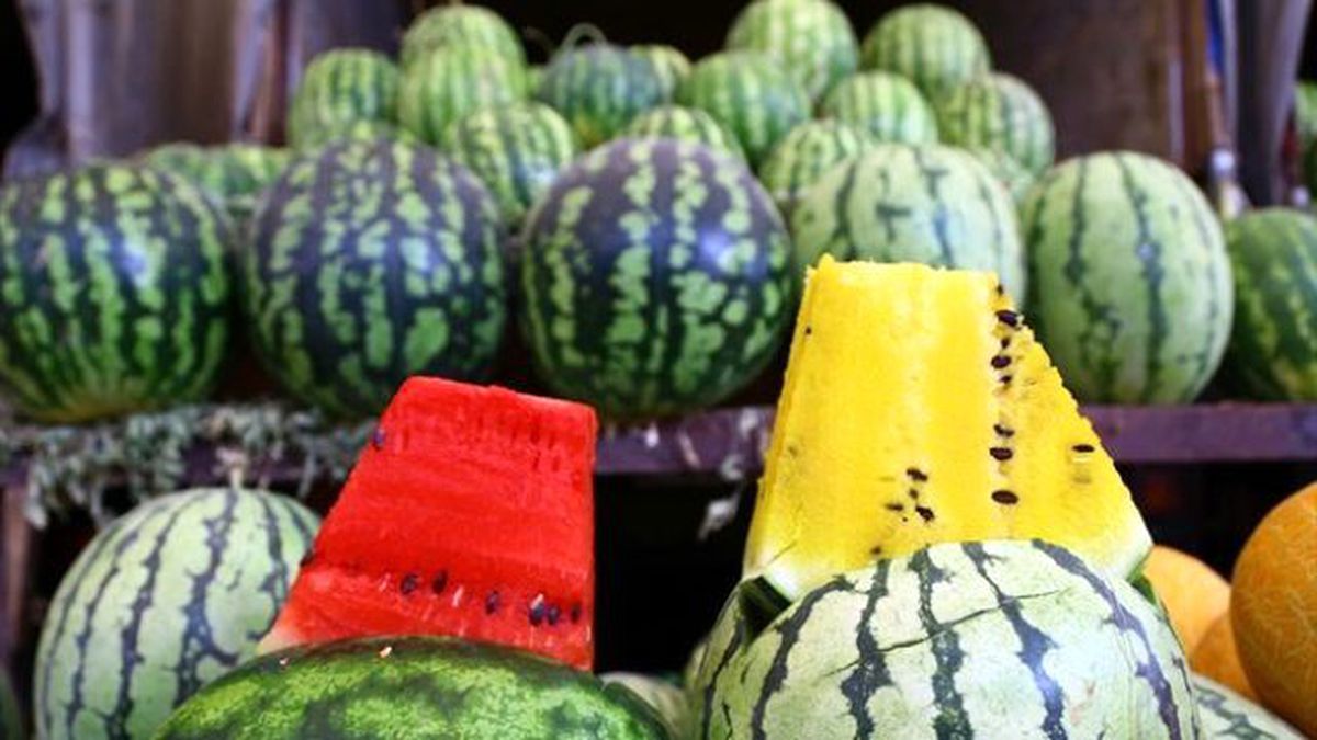 Sarı Karpuz Görenleri Şaşkına Çeviriyor