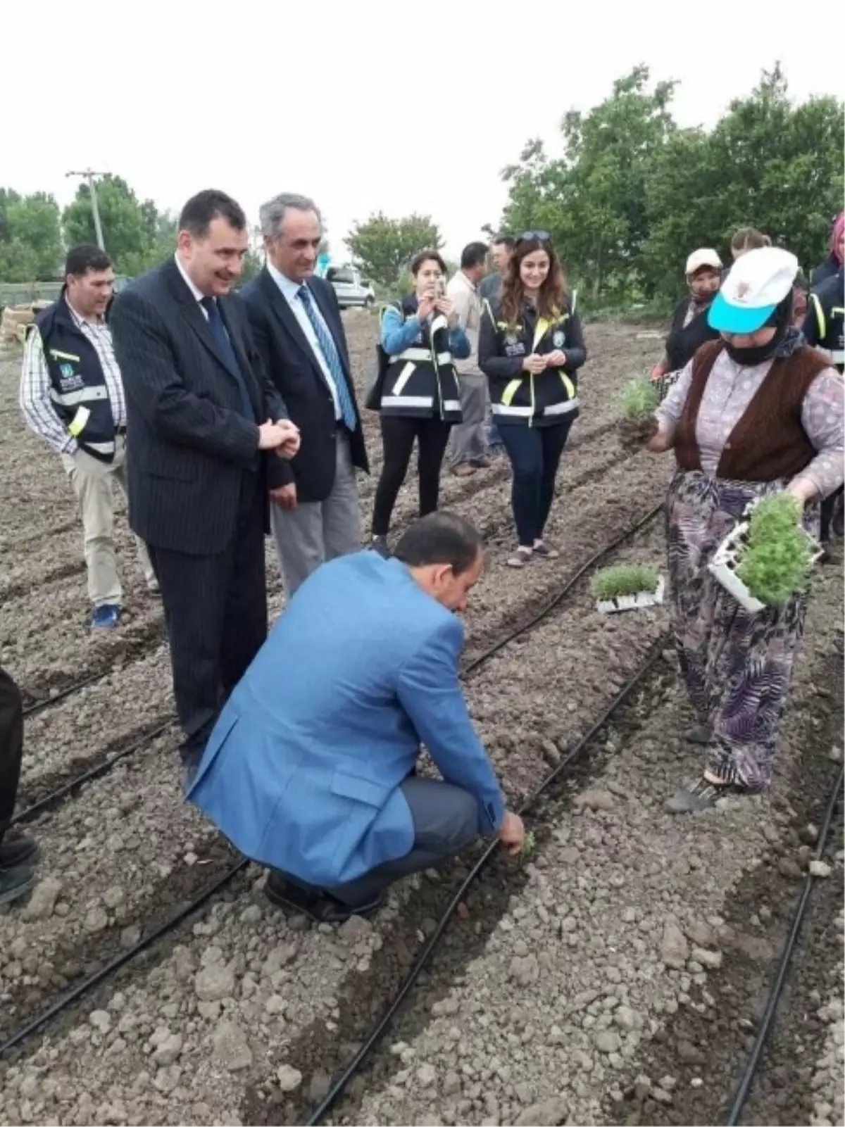 Balıkesir Büyükşehir\'den "Tarlalarda Şenlik Var" Projesi