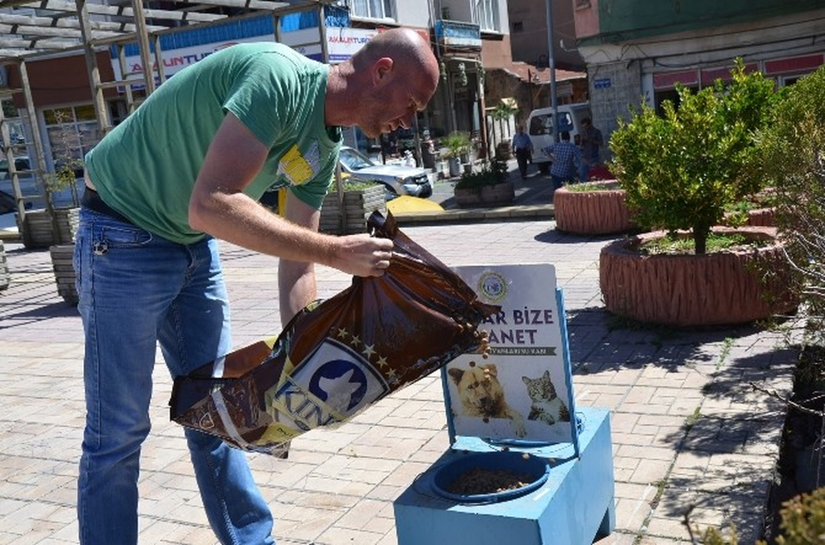 Bozüyük Belediyesi Sokak Hayvanlarını Unutmuyor