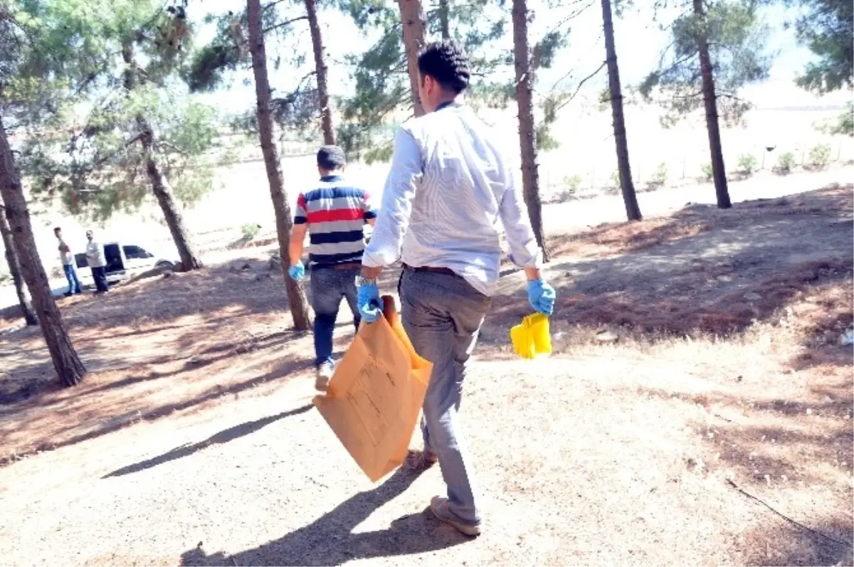 Dört Arkadaşın Kavgası Ölümle Sonuçlandı