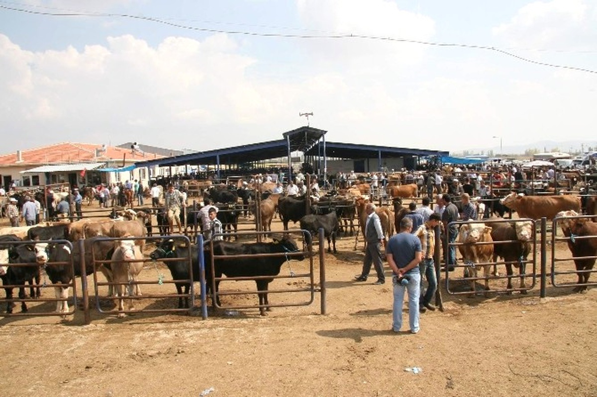 Kurban Bayramı Önce Fiyat Spekülatörlerine Dikkat