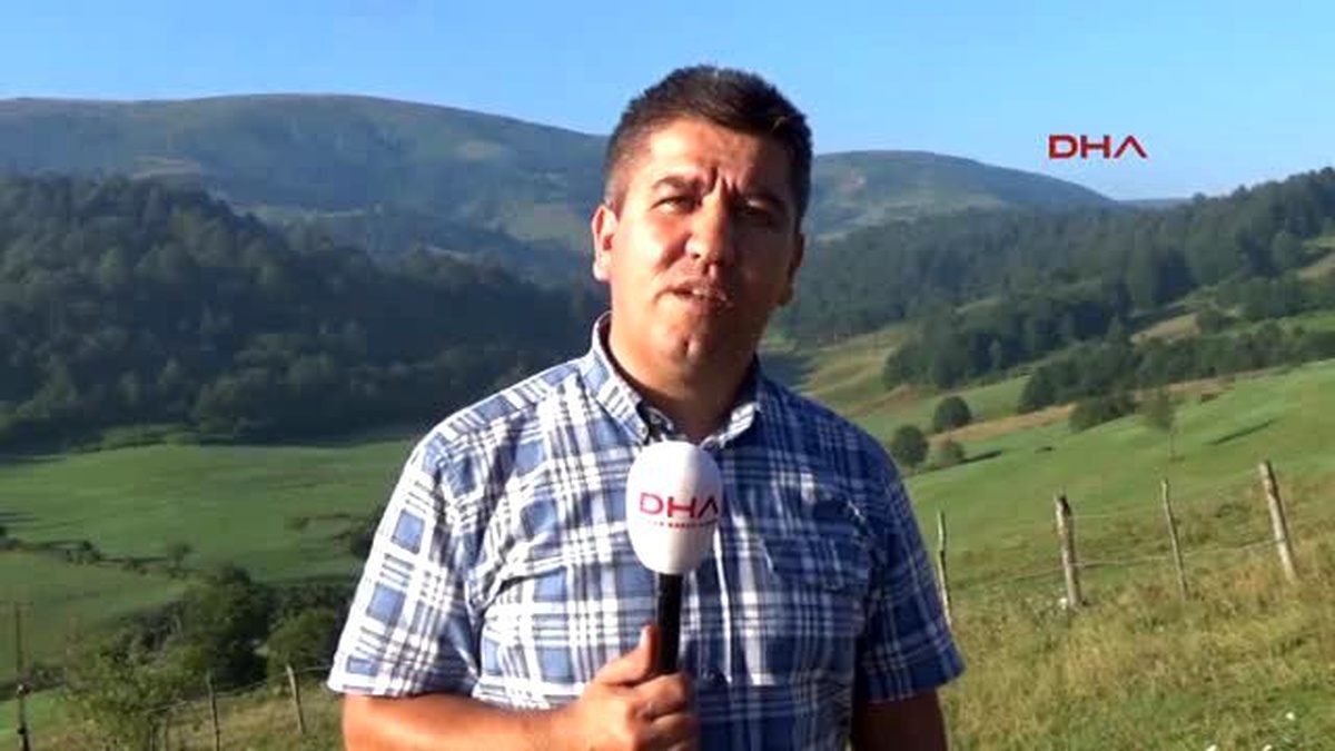 Ordu\'da Güvenlik Güçleri Kaçan Teröristleri Didik Didik Arıyor