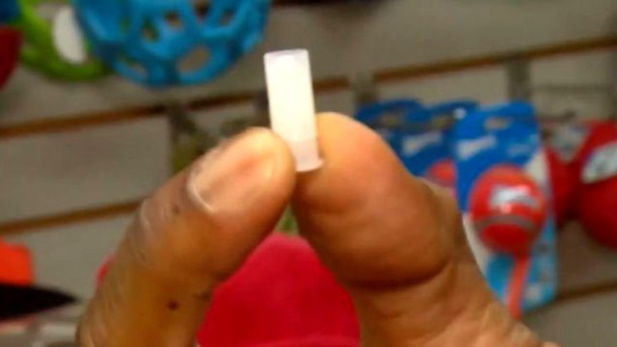 Ses Çıkaran Oyuncak Yutan Çocuk Her Nefes Alışında Ötüyor