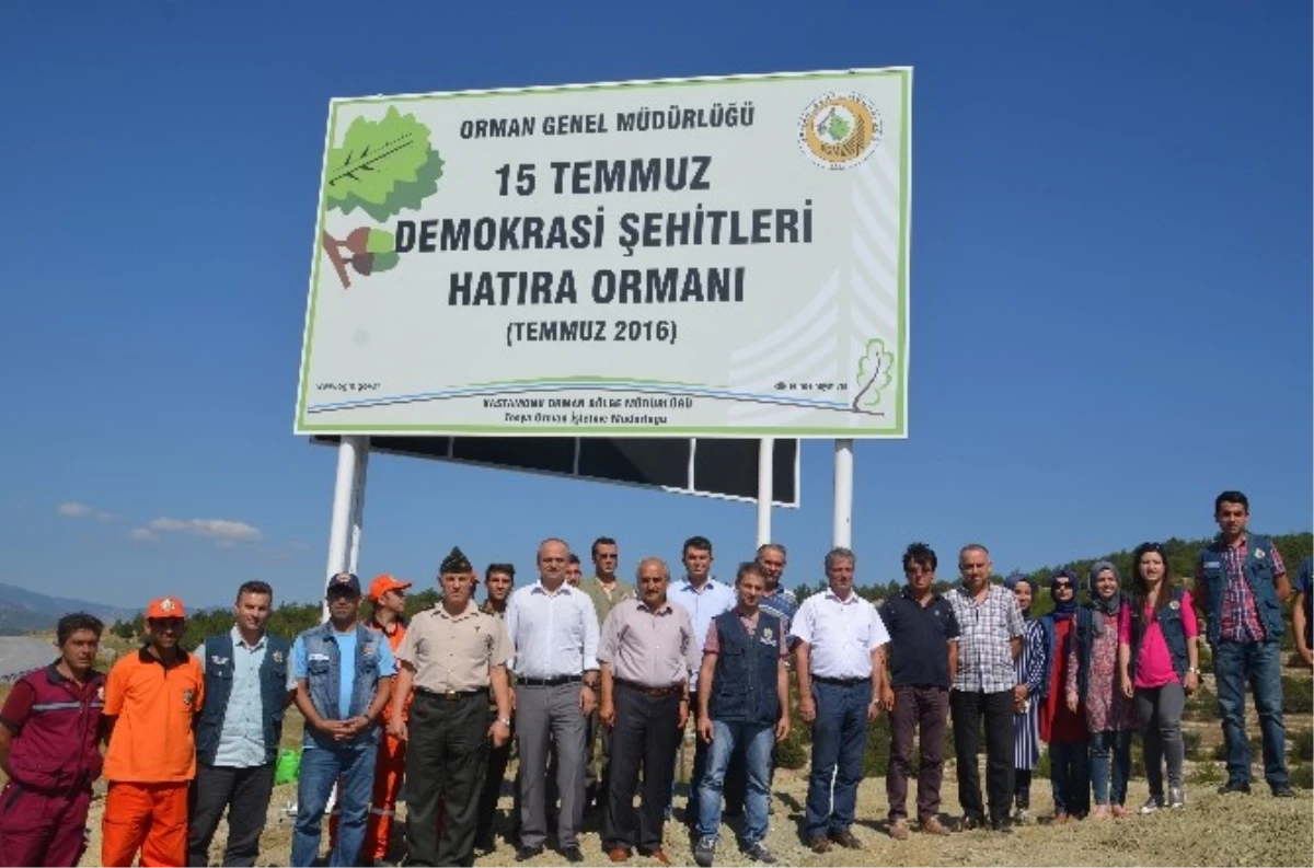 Tosya\'da "15 Temmuz Demokrasi Şehitleri Hatıra Ormanı" Kuruldu