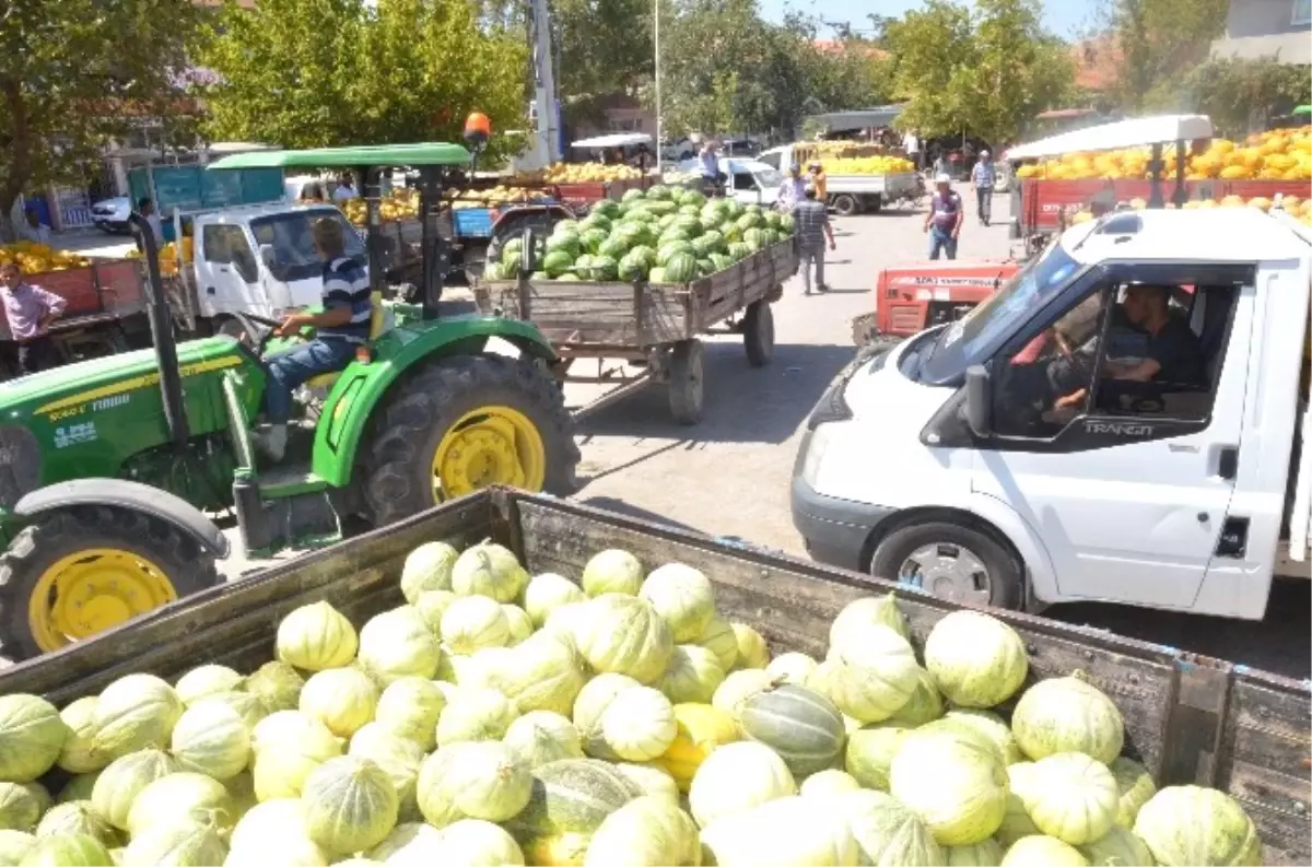 Karpuz Çiftinin Yüzünü Güldürdü