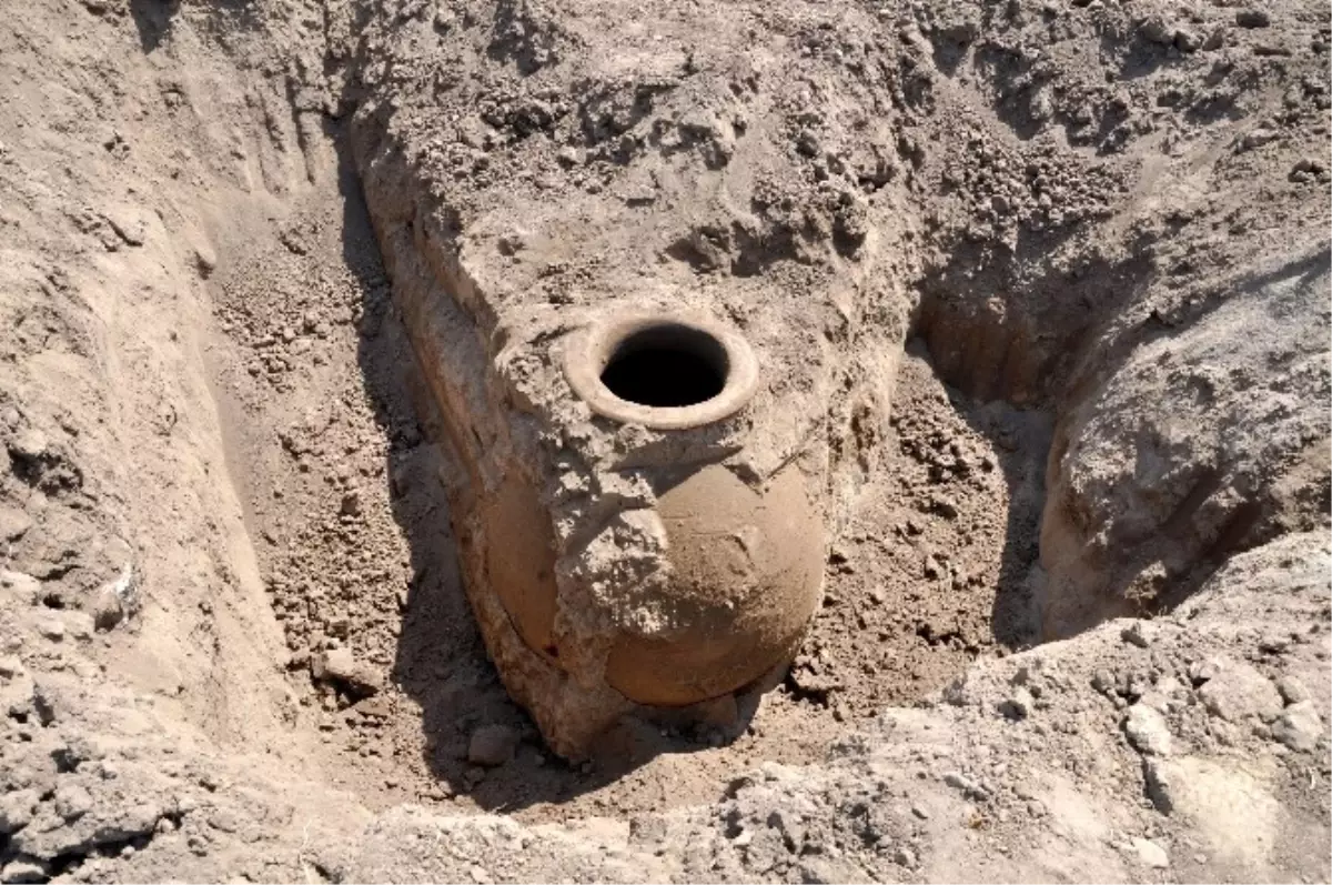 Domates Tarlasından Tarihî Küp Çıktı