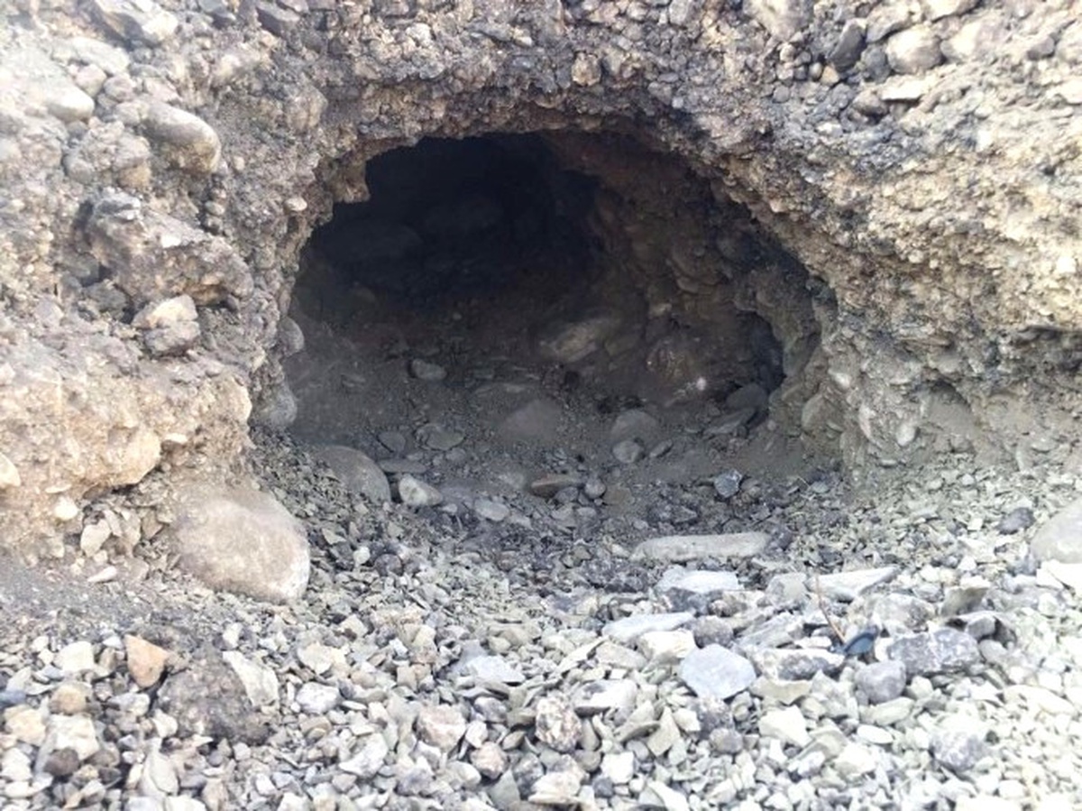 Cizre\'de Yol Kenarına Tuzaklanmış Eyp Bulundu