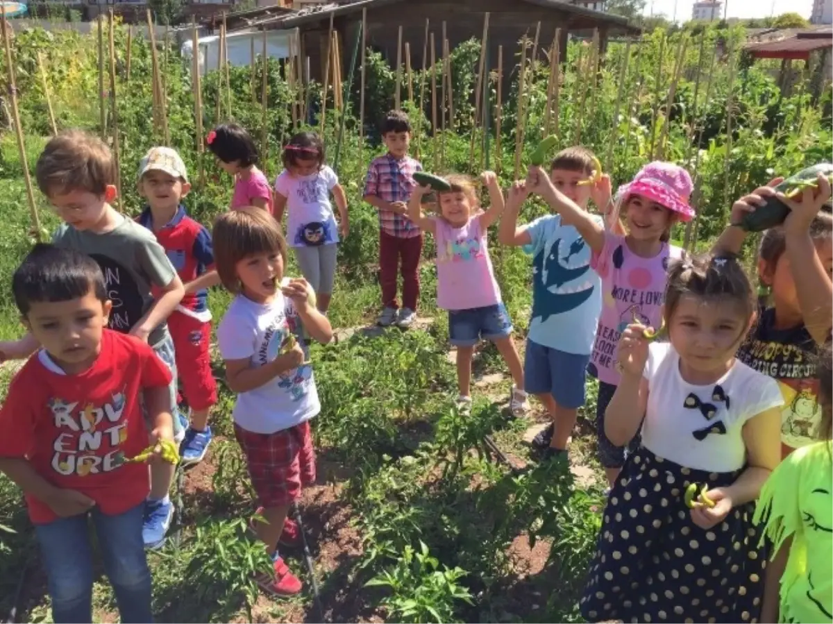 Minikler Toprakla Tanıştı