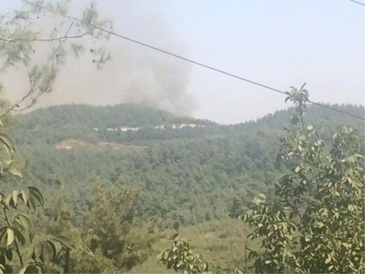 Yayladağı İlçesine Düşen Top Mermisi Yangına Sebep Oldu